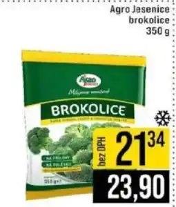 Jip Agro Jesenice brokolice nabídka
