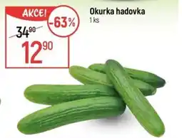 Globus Okurka hadovka nabídka
