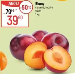 Globus Blumy červené/modré nabídka