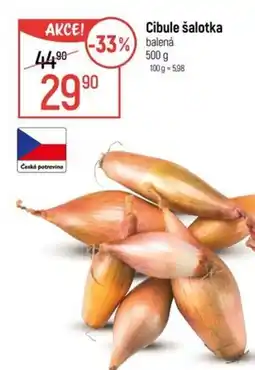 Globus Cibule šalotka nabídka