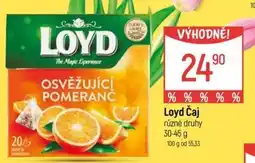 Globus Loyd Čaj nabídka