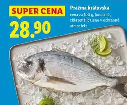 Lidl Pražma královská, cena za nabídka