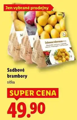 Lidl Sadbové brambory nabídka