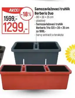 Globus Samozavlažovací truhlík Berberis Duo nabídka