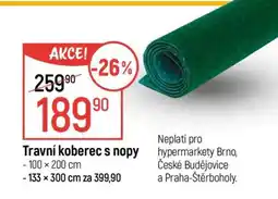 Globus Travní koberec s nopy nabídka