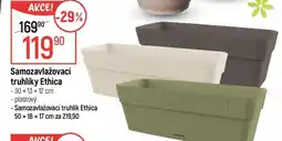 Globus Samozavlažovací truhlíky Ethica nabídka