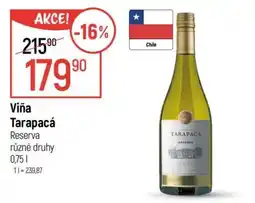 Globus Viña Tarapacá nabídka