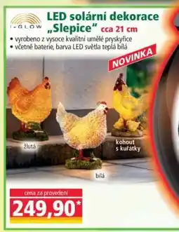Norma LED solární dekorace Slepice nabídka
