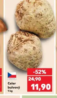 Kaufland Celer bulvový nabídka