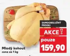Kaufland Mladý kohout nabídka