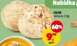 Penny Market Celer nabídka