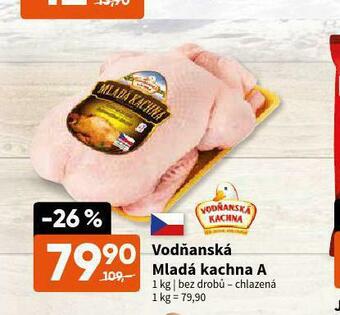 Terno Vodňanská mladá kachna a nabídka