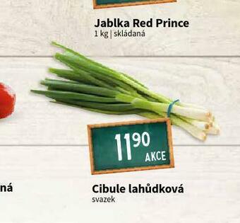 Terno Cibule lahůdková nabídka