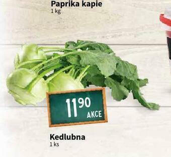 Terno Kedlubna nabídka