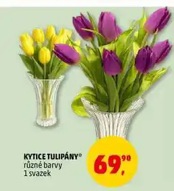 Penny Market KYTICE TULIPÁNY, 1 svazek nabídka