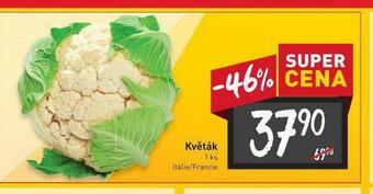 Billa Květák nabídka