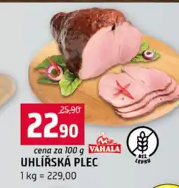 Terno Uhlířská plec nabídka