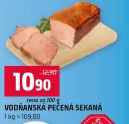 Terno Vodňanská pečená sekaná nabídka