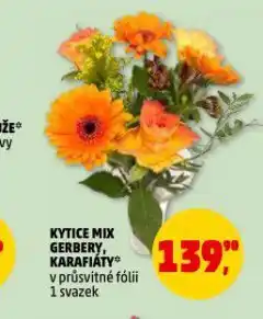 Penny Market Kytice mix karafiáty nabídka