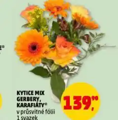 Penny Market Kytice mix gerbery nabídka