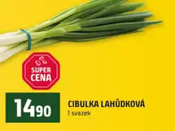 Terno Cibulka lahůdková nabídka