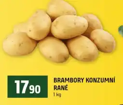 Terno Brambory konzumní rané nabídka