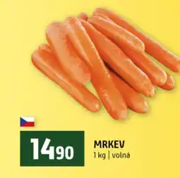 Terno Mrkev nabídka