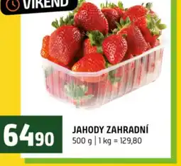 Terno Jahody zahradní nabídka