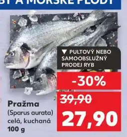 Kaufland Pražma (Sparus aurata) nabídka