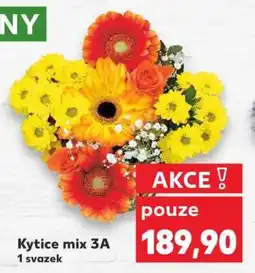 Kaufland Kytice mix 3A nabídka