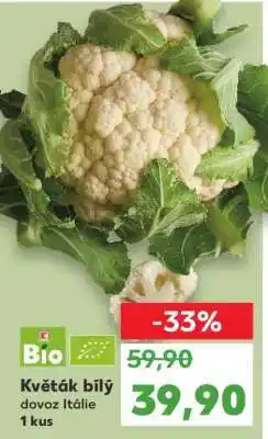 Kaufland Květák bílý nabídka
