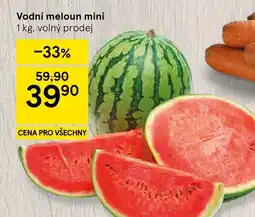 Tesco Vodní meloun mini nabídka