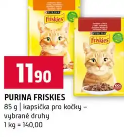 Terno Purina friskies nabídka