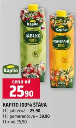 Terno Kapito 100% šťáva nabídka