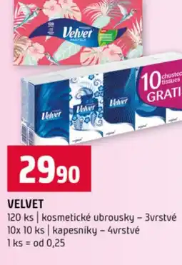 Terno Velvet nabídka