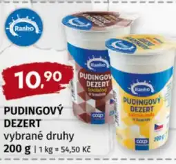 Terno Ranko Pudingový dezert nabídka