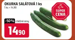 Terno Okurka salátová nabídka