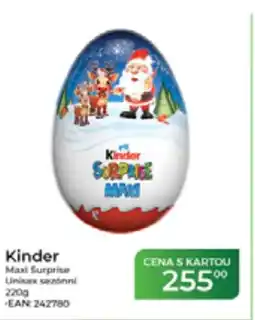 Tamda Foods Kinder Maxi Surprise nabídka