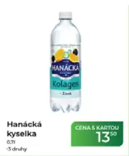 Tamda Foods Hanácká kyselka nabídka