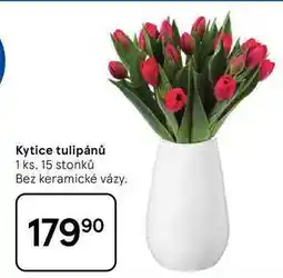 Tesco Kytice tulipánů, 1 ks, 15 stonků Bez keramické vázy nabídka
