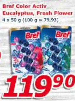 ESO MARKET Bref Color Activ Eucalyptus, Fresh Flower nabídka