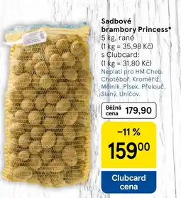 Tesco Sadbové brambory Princess nabídka