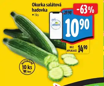 Albert Okurka salátová hadovka nabídka
