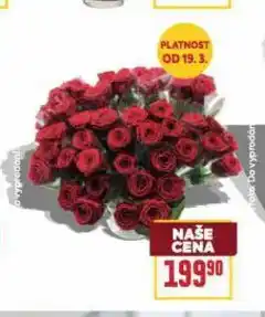 Billa Růže nabídka