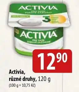 Bala Activia nabídka