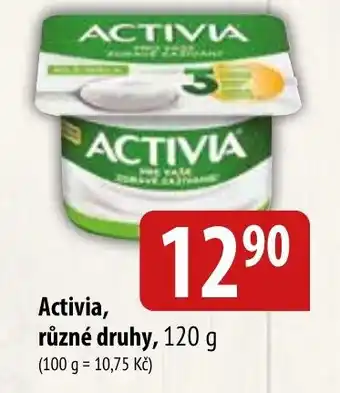 Bala Activia nabídka
