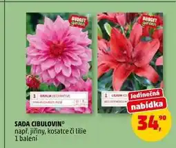 Penny Market SADA CIBULOVIN, 1 balení nabídka