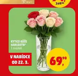 Penny Market KYTICE RŮŽE HARLEKÝN, 1 svazek nabídka