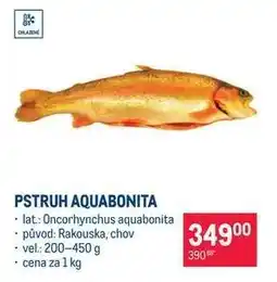Makro PSTRUH AQUABONITA nabídka
