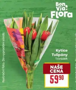 Billa Kytice tulipány nabídka